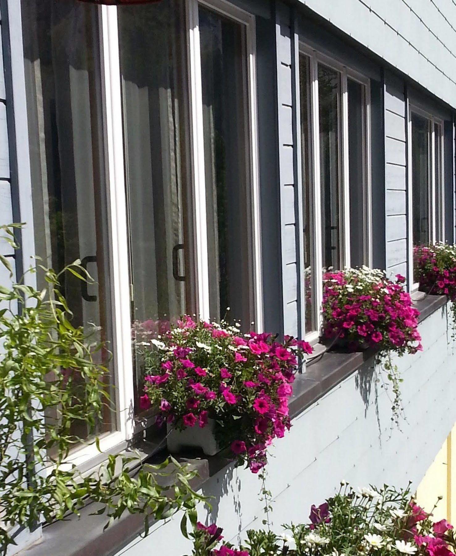 The Excelsior Ostfluegel Hotel Arosa Exterior foto